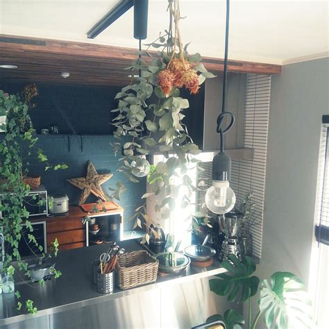 房間 門 天井植物